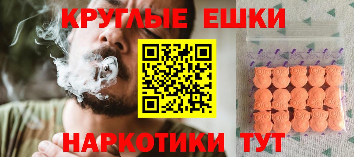 Ecstasy Philipp Plein  Вход с VPN  ЭКСТАЗИ  Азнакаево 