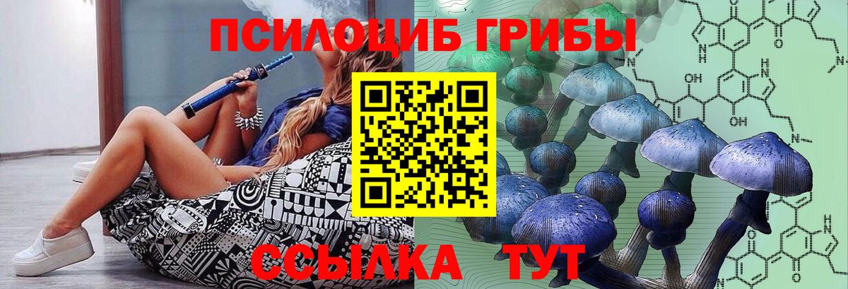 Галлюциногенные грибы MAGIC MUSHROOMS  Вход с VPN  Азнакаево 